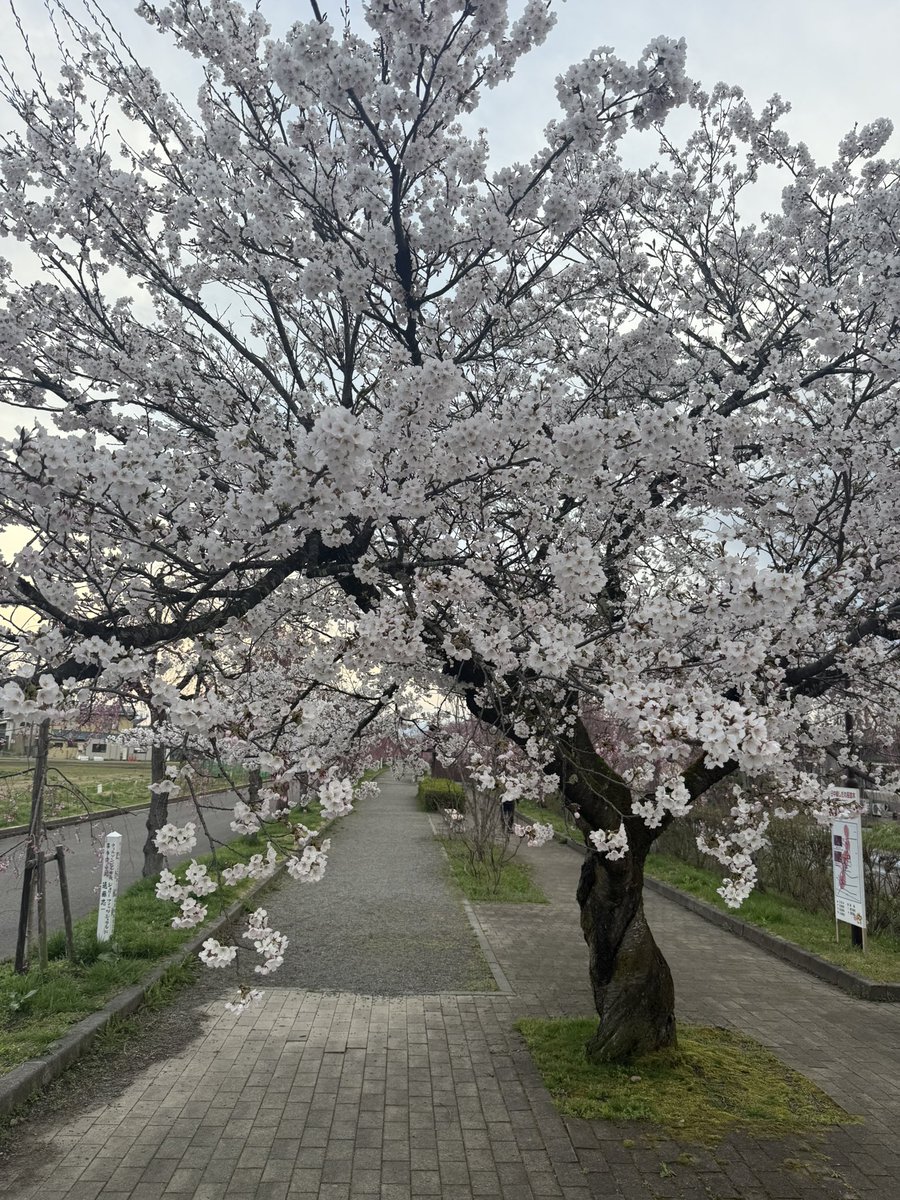 キャサリン tweet media