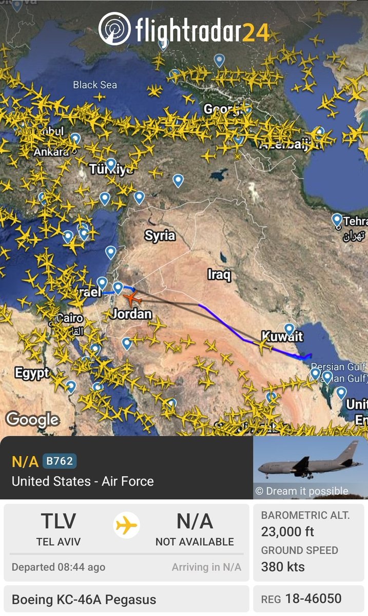 Observer tweet media