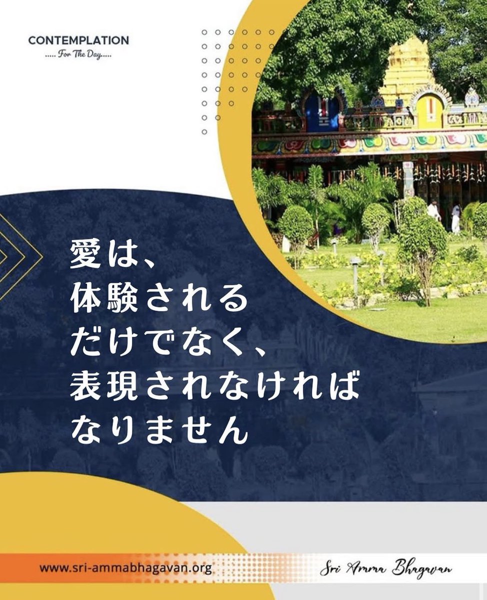 GOLDEN AGE MOVEMENT JAPAN tweet media