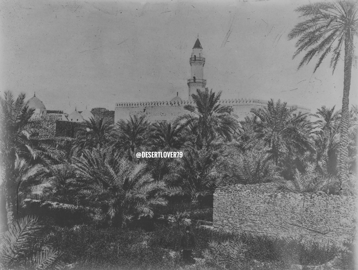 محمد ناصر الخليفة tweet media