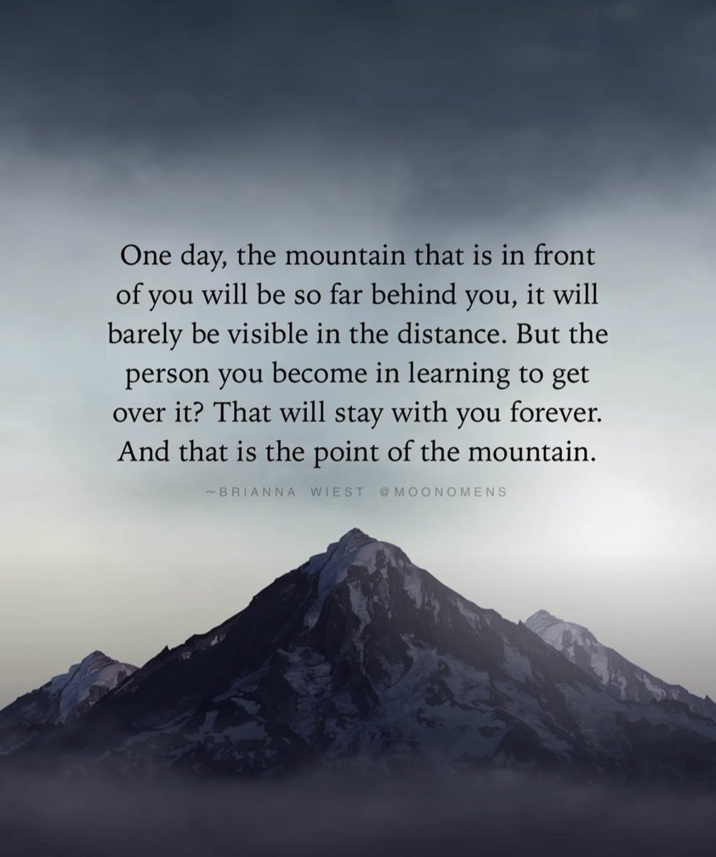 Steve Jacobson tweet media