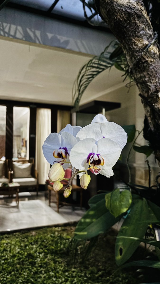 e.yuliastuti juwardi™ tweet media