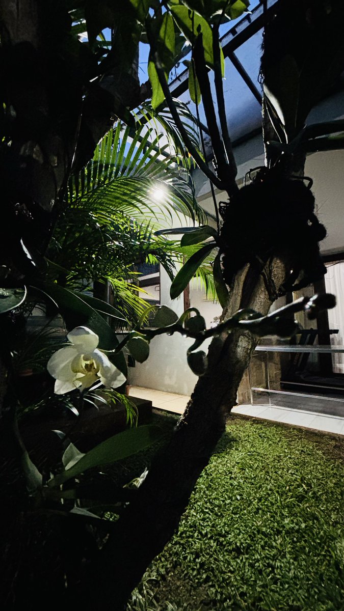 e.yuliastuti juwardi™ tweet media