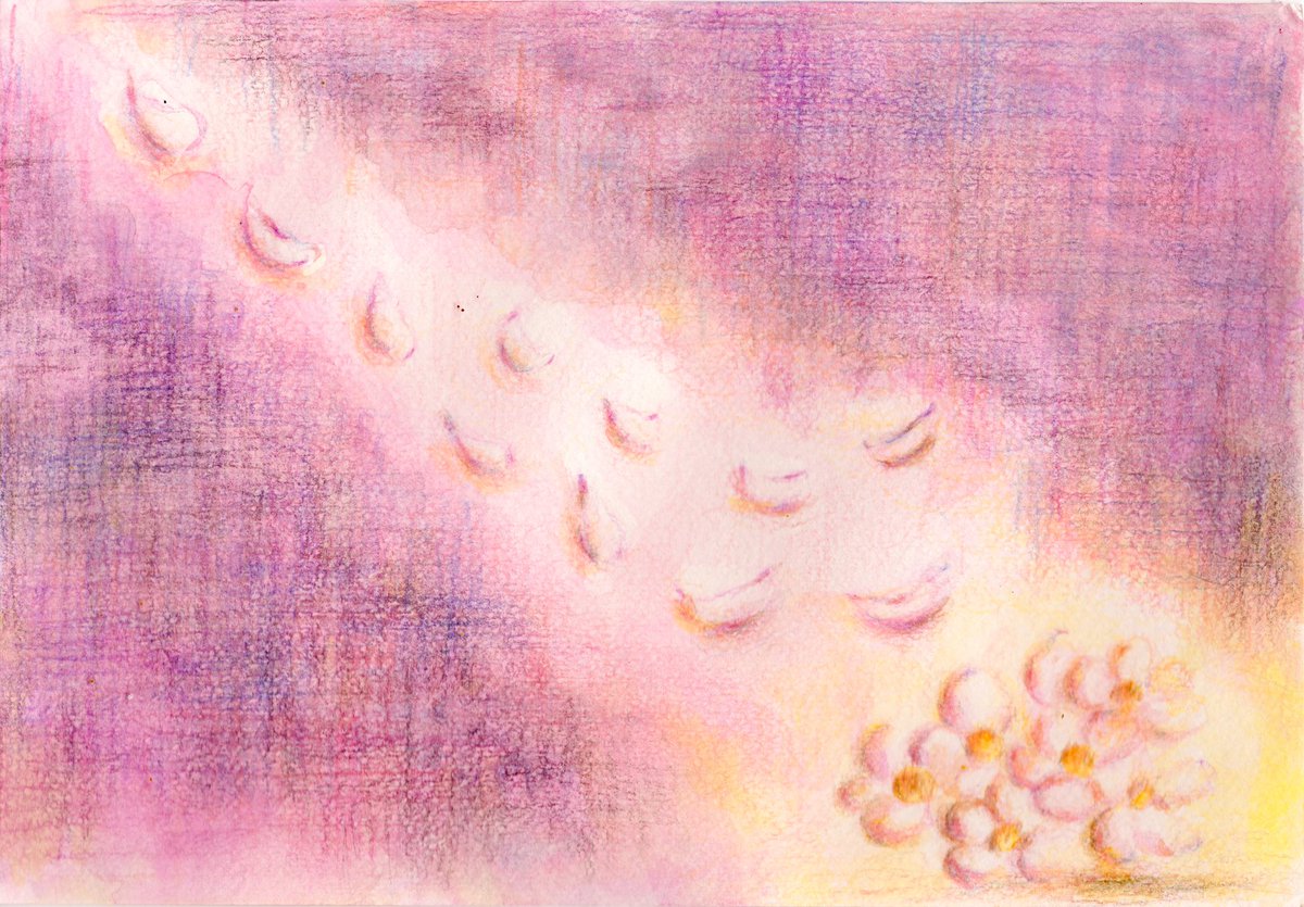 共鳴画 | 音楽
『さくら、散り咲く夜』

桜は、散るから美しい。
そして、散ったとしても、美しく咲いたことはちゃんと残るのだろう。

そんなことを思いながら描きました。

「桜の降る夜は／あいみょん」

—
音楽に触れたときに生まれた感覚を絵に。

#共鳴画 #夜桜 #イラスト #創作 #余韻