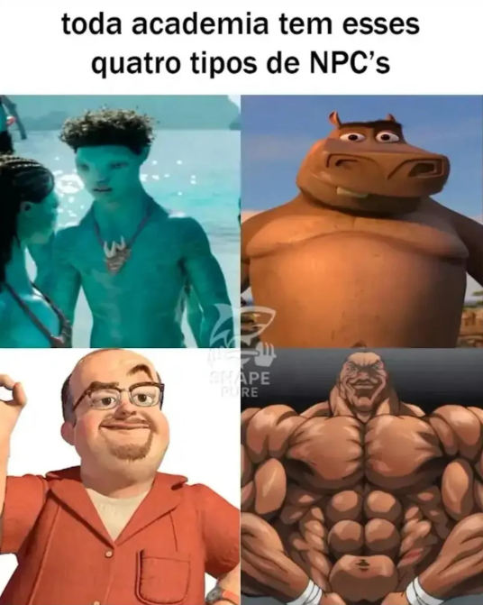 memes.jpeg tweet media