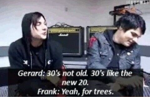 abs 🗡️ tweet media