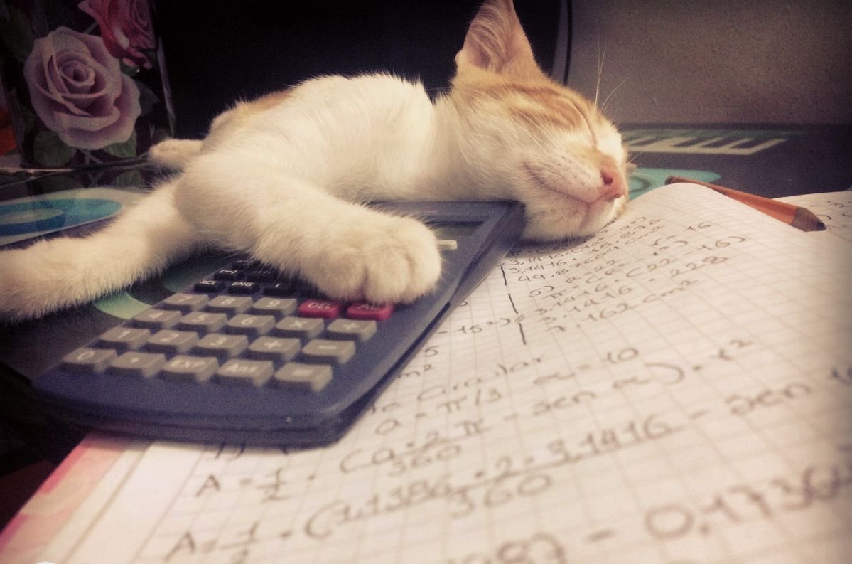 renad khalid tweet media