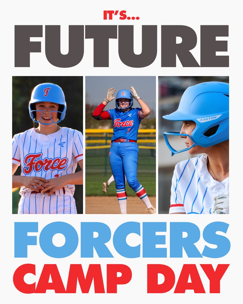 Northern Force Fastpitch tweet media
