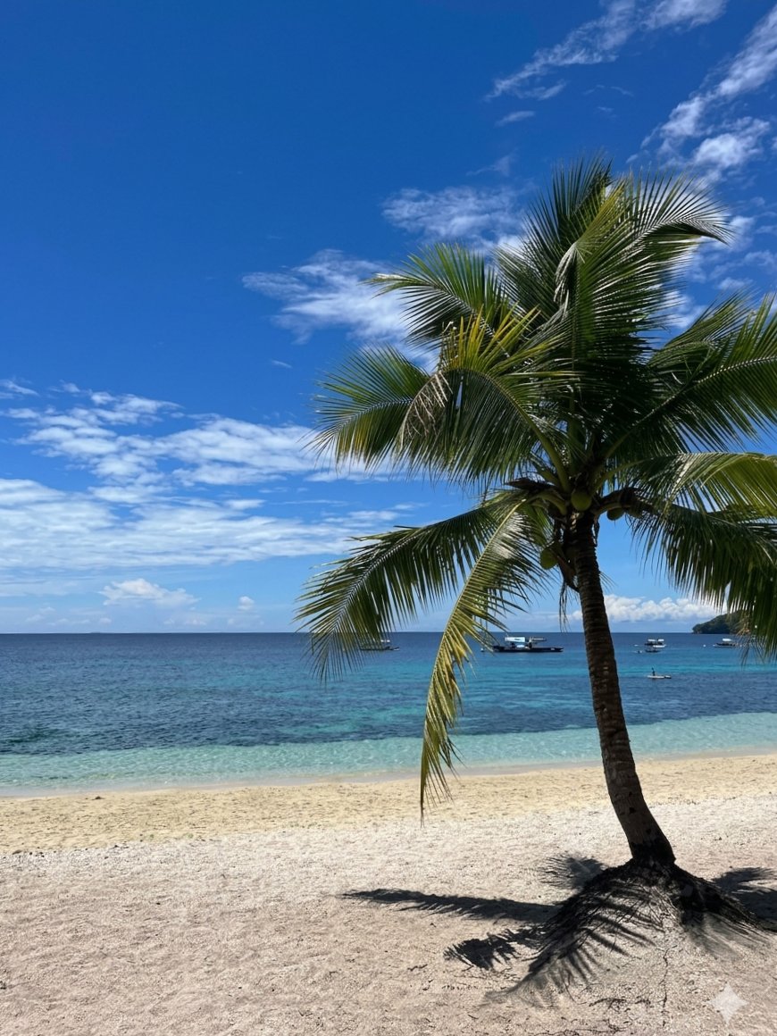 𝐤𝐚𝐢𝐫𝐨$ tweet media