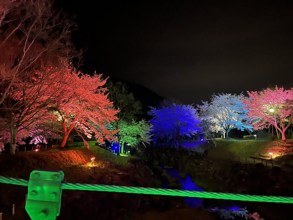 まくちん tweet media