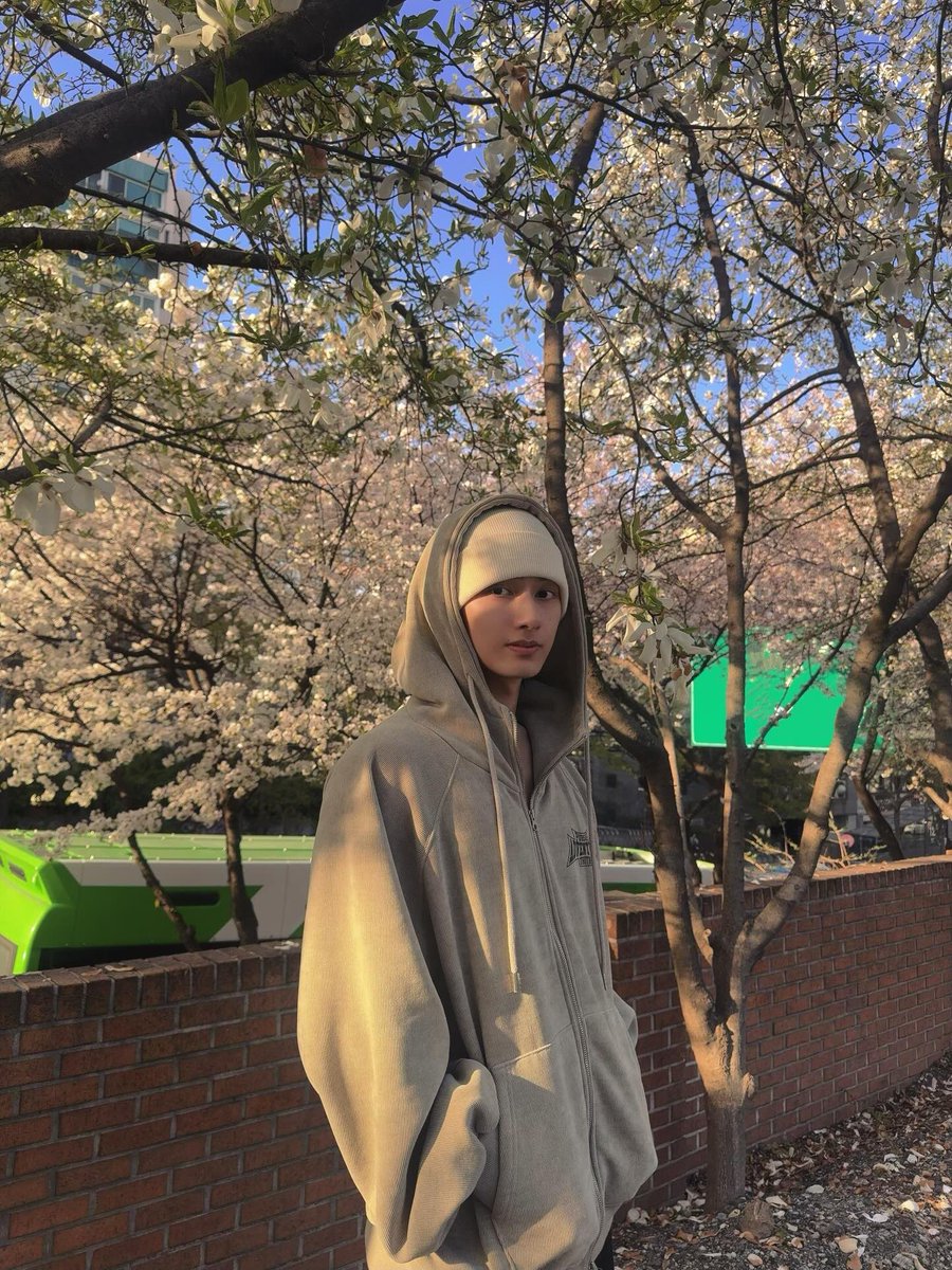 쿱정원 tweet media