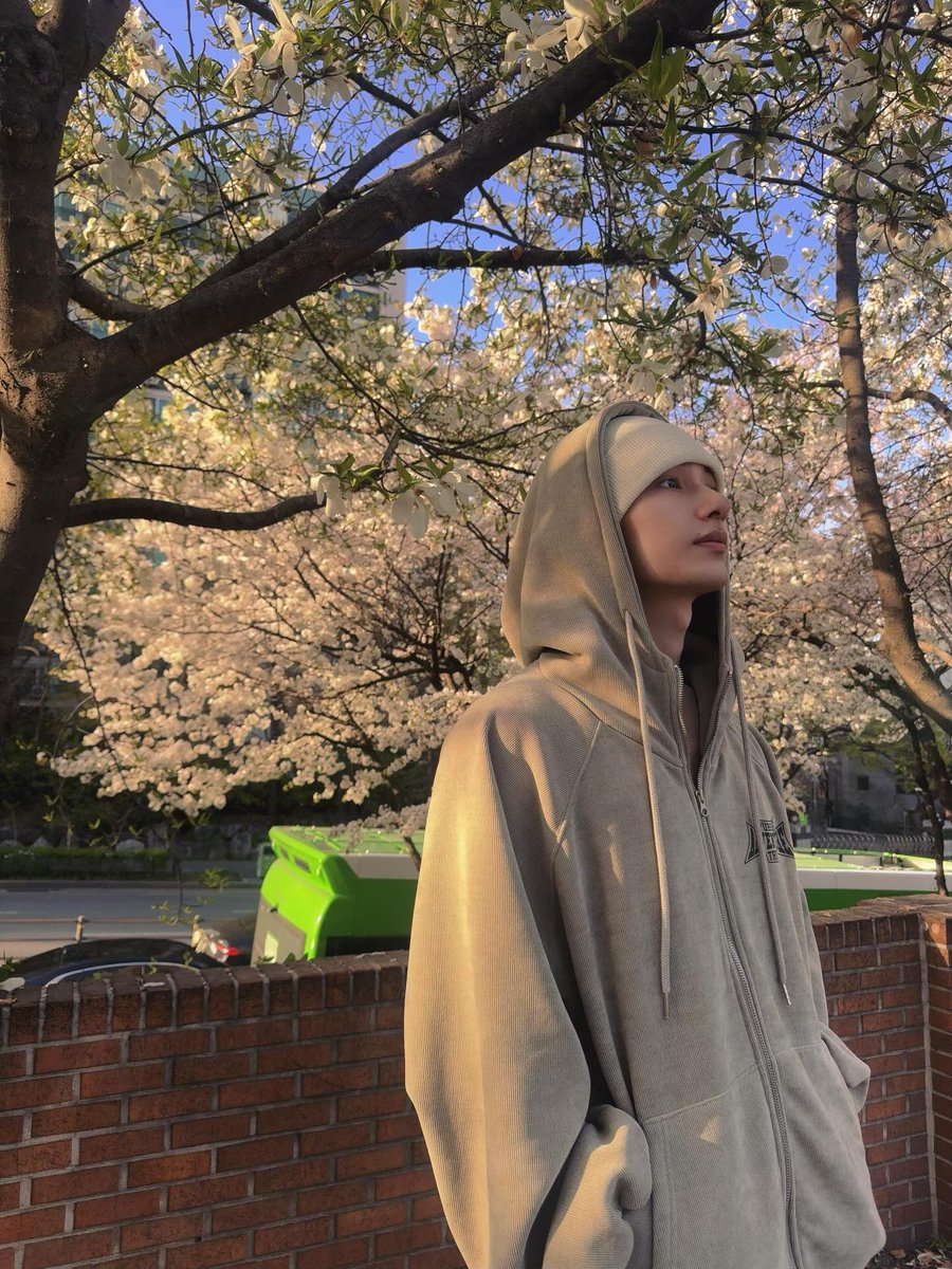 쿱정원 tweet media