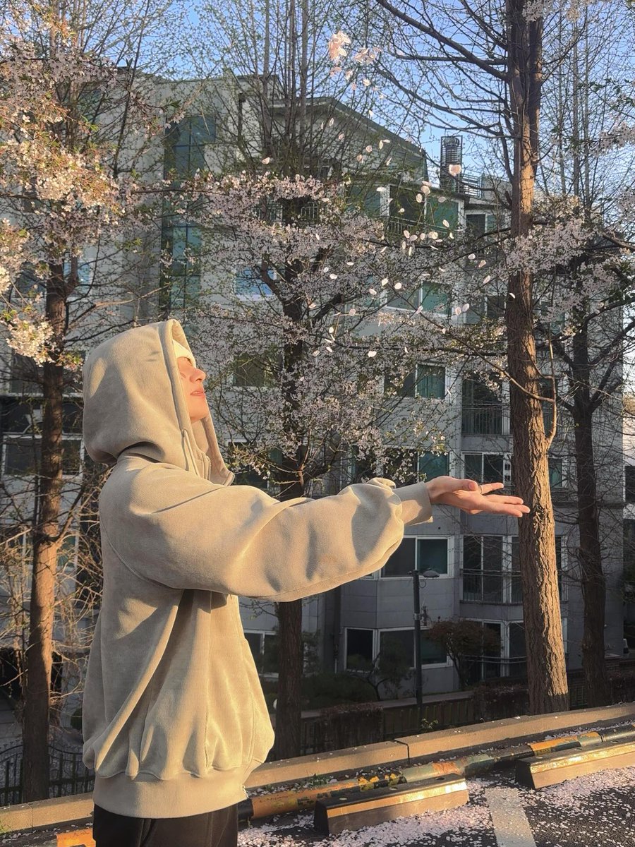 쿱정원 tweet media