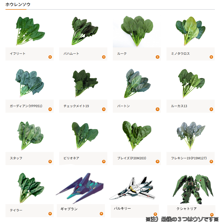 ひとり🌱 tweet media