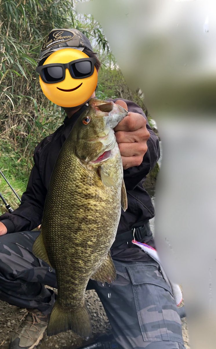 電撃ゴルゴ tweet media