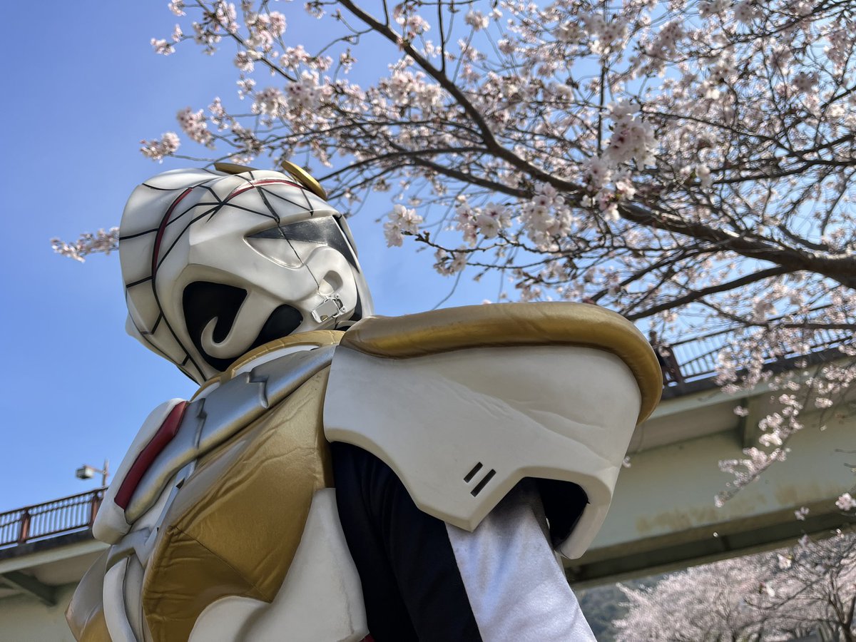 清流光神ハクジャオー【公式】 tweet media