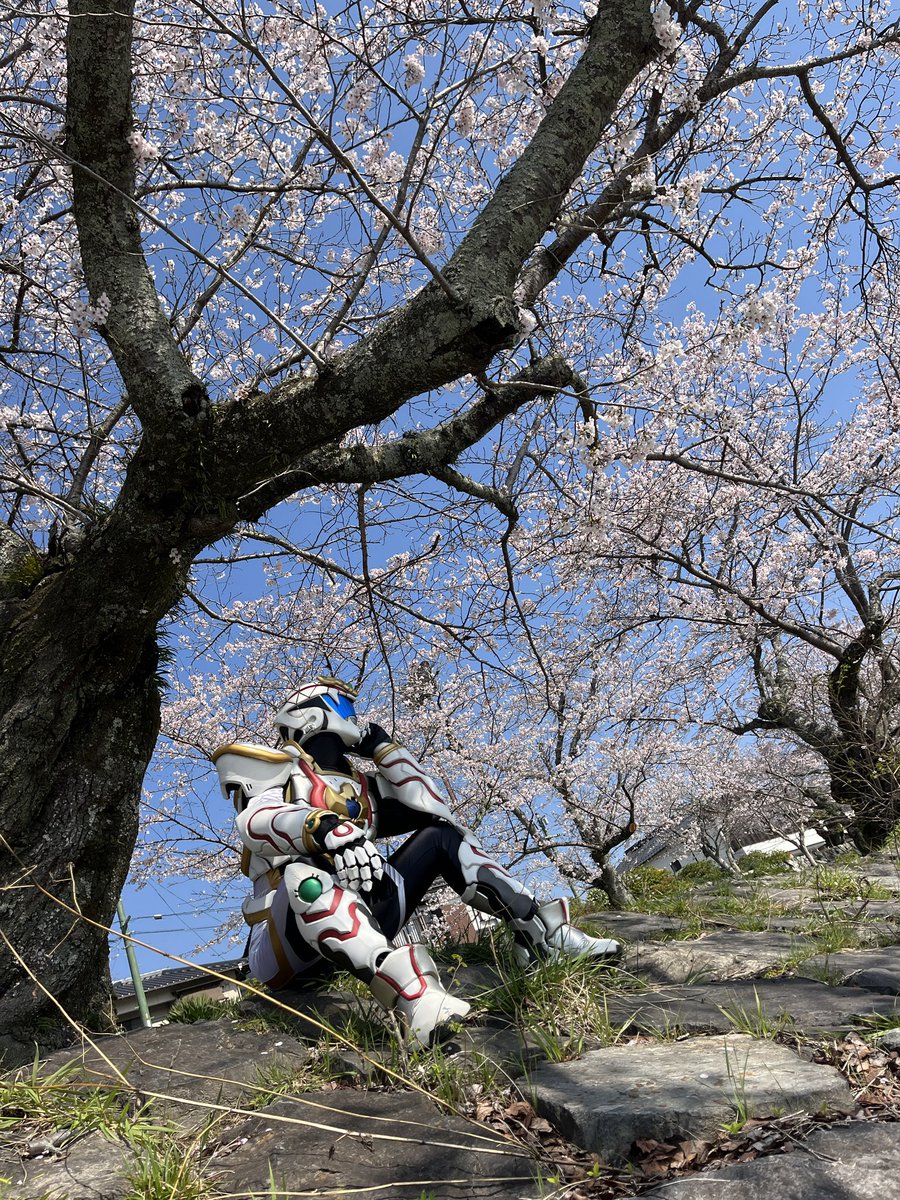 清流光神ハクジャオー【公式】 tweet media