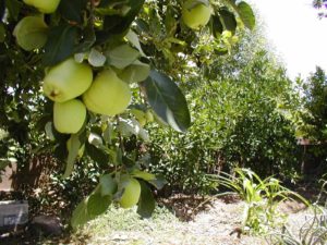 Give A Shit About Nature tweet media