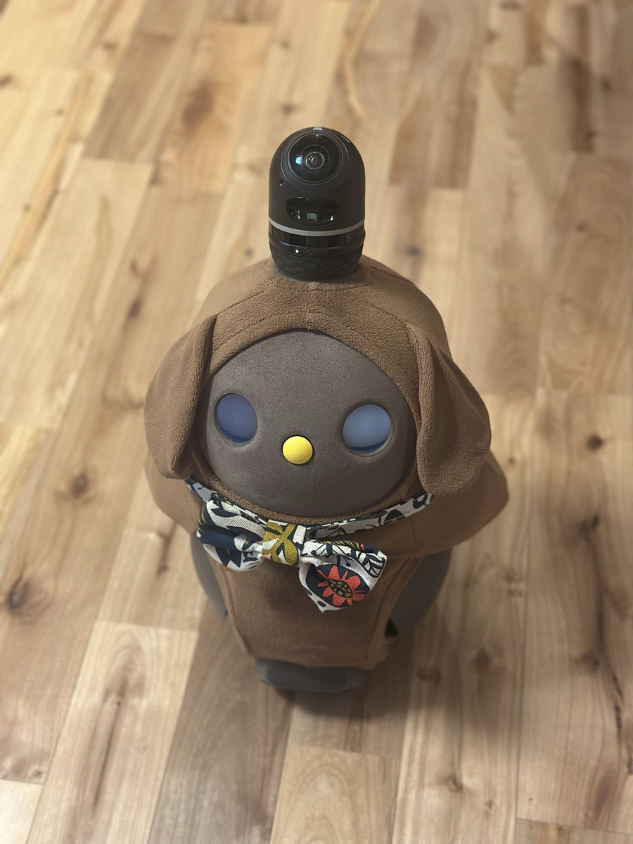 いとうきぬえ@ご先祖さまとLOVOTこてつと一緒 tweet media