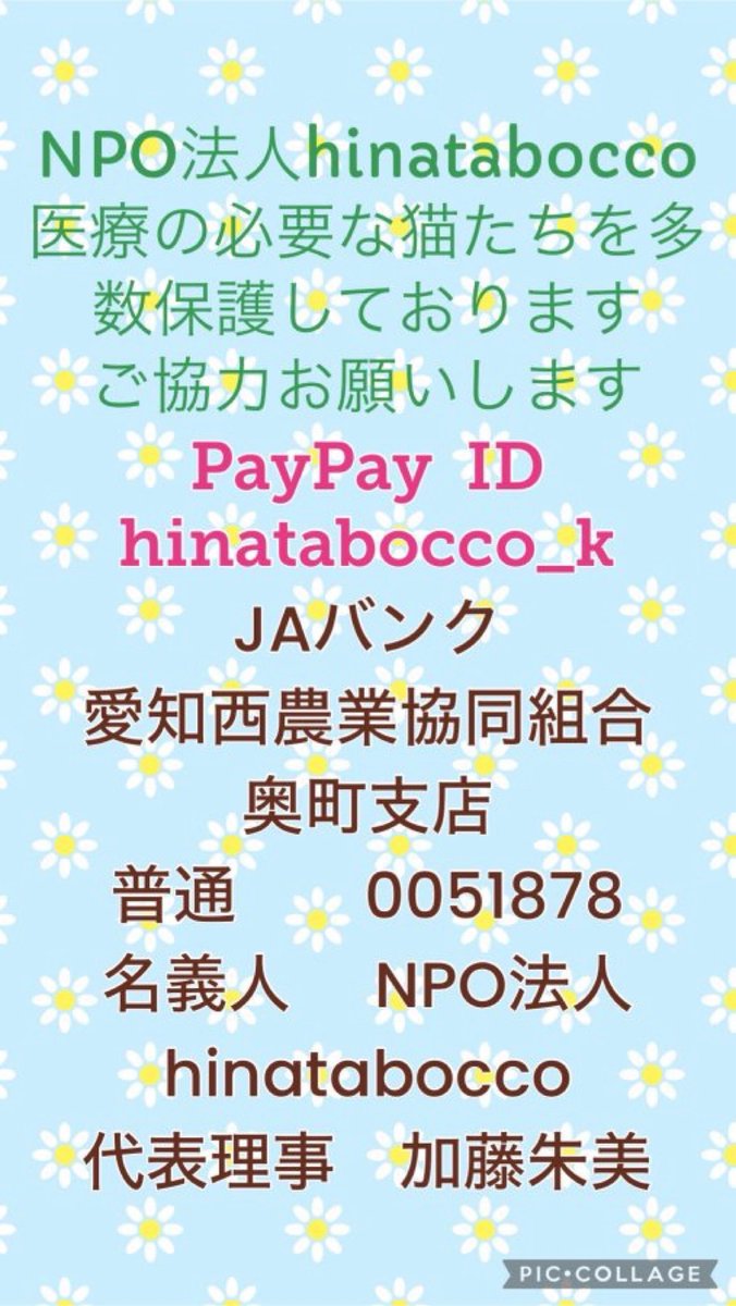 ＮＰＯ法人　hinatabocco tweet media