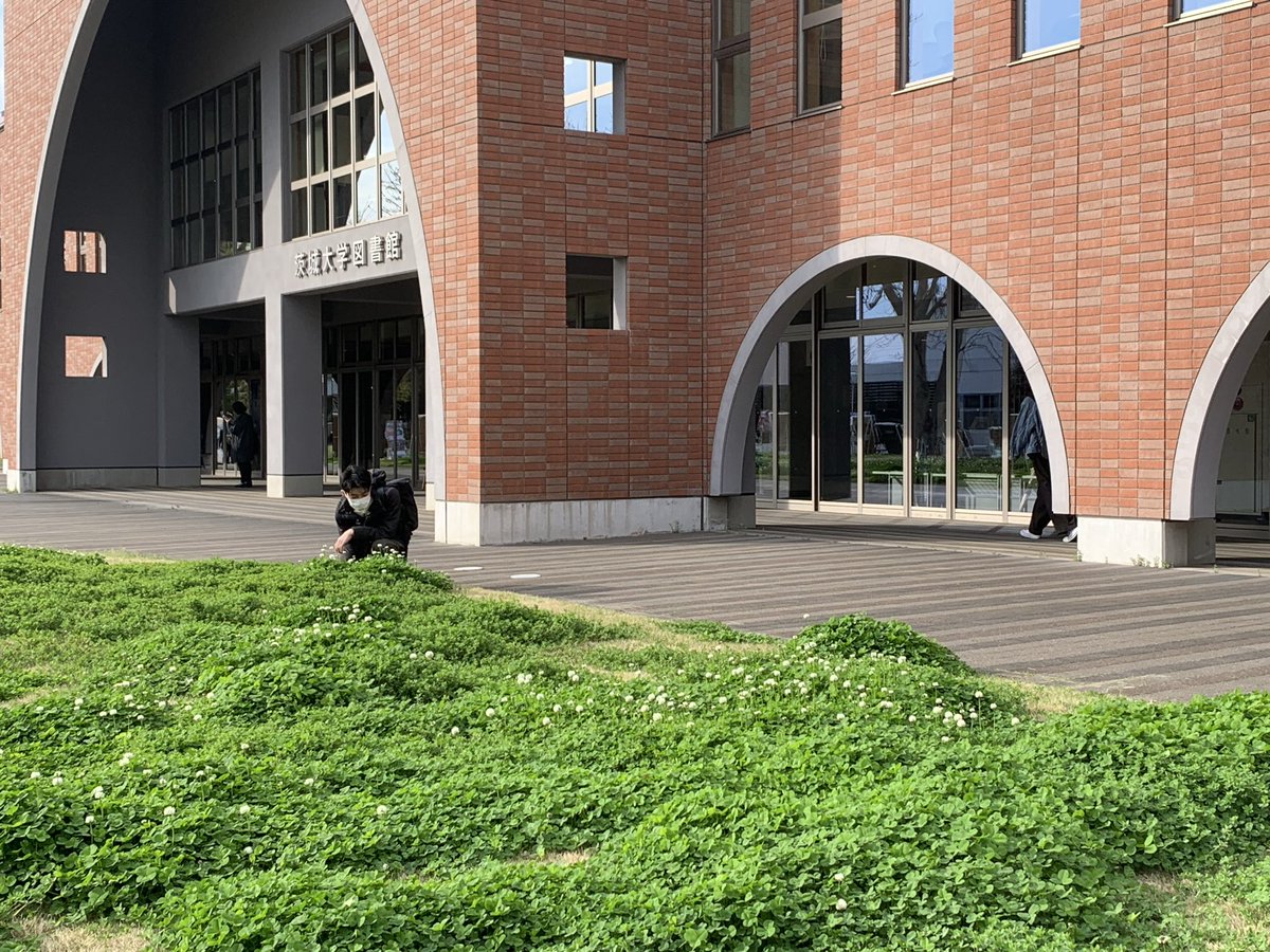 【公式】茨城大学 | IBARAKI University tweet media