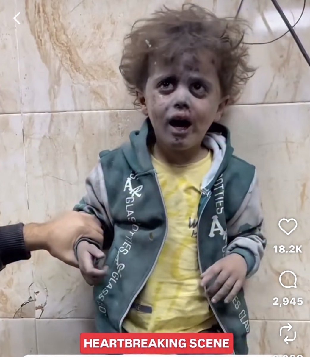 Kathleen Thomas tweet media