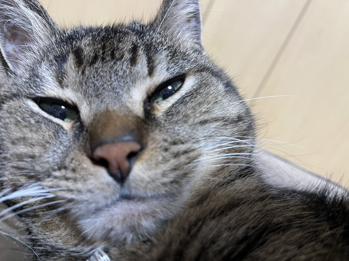 れなぴ★* tweet media