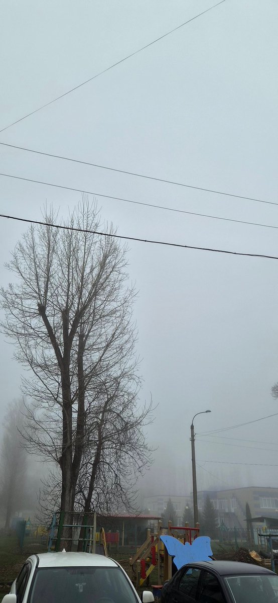 Redisskaaa tweet media