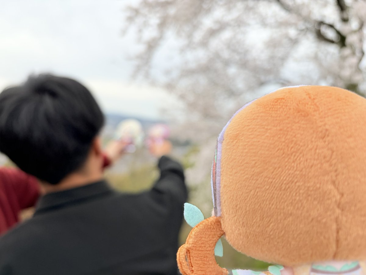 げにこ･ドゥ･フォンテーヌ tweet media