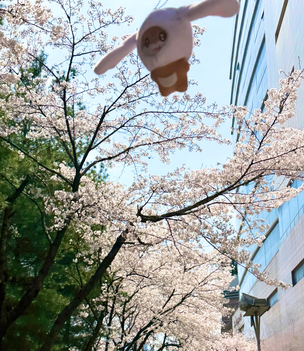 달누ෆ tweet media