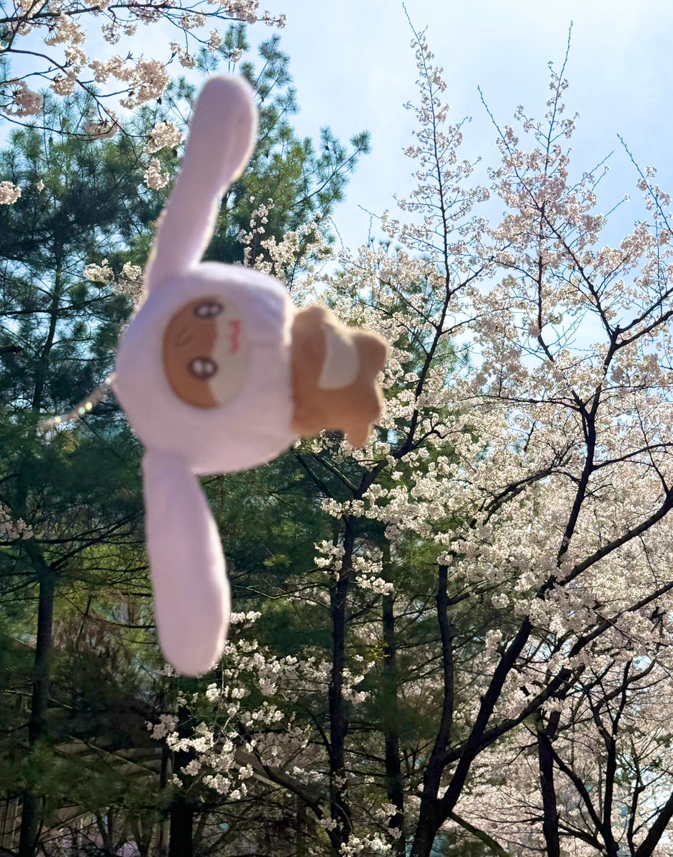 달누ෆ tweet media