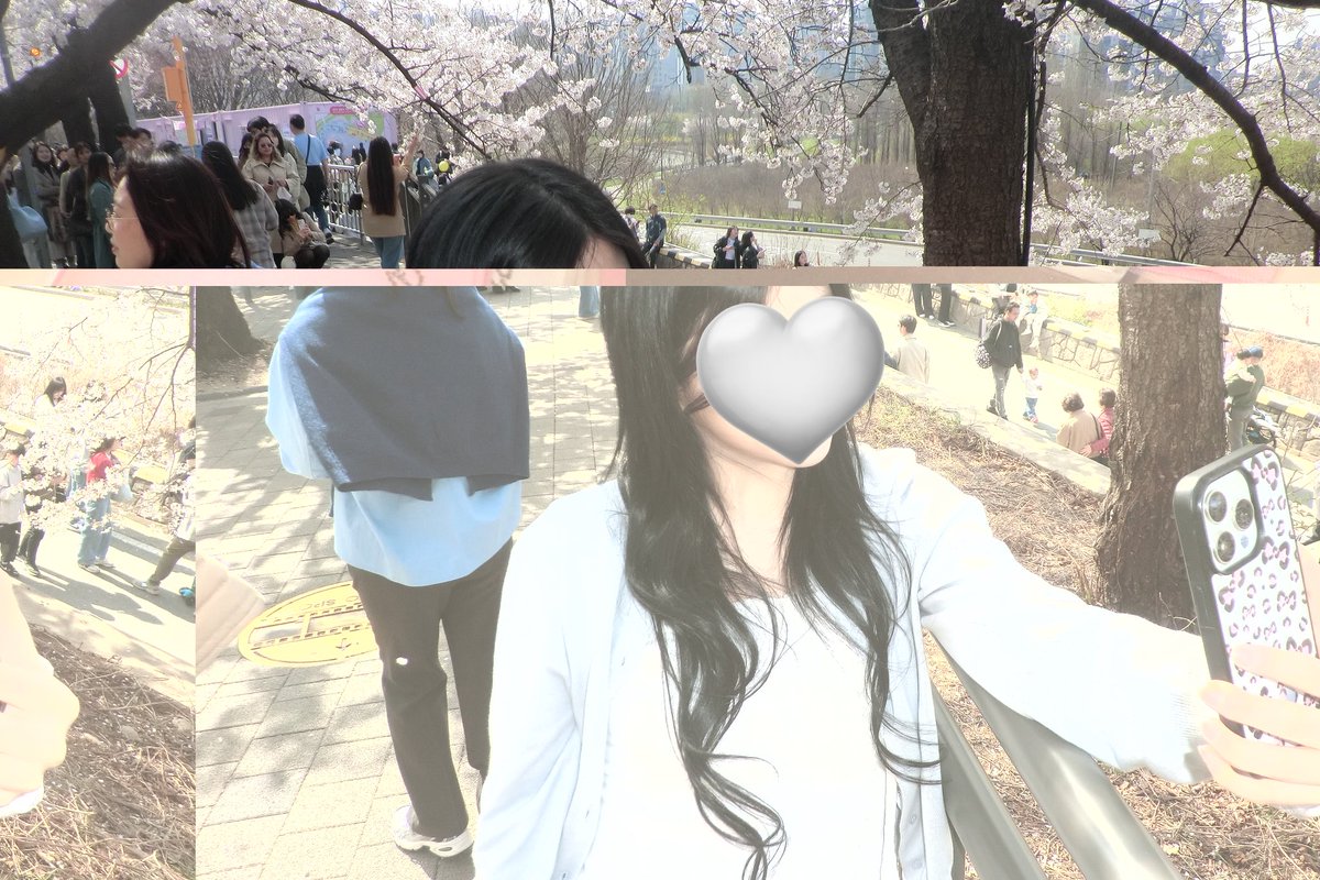 wiltless's tweet photo. 봄이당 https://t.co/UNQs9qdZWi