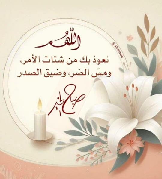 أبو ابرار tweet media