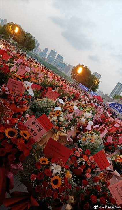 EmmY❤️1005 XZ.🌹 Star sand🏖️✨🧘🏼‍♀️ tweet media