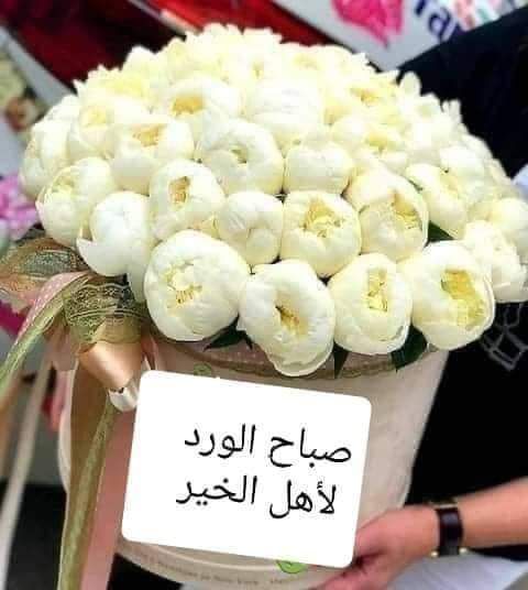 الوفاء العظيم tweet media