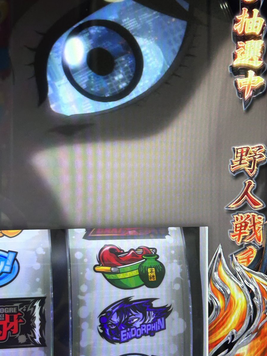 ハイエナ下手なトキ tweet media