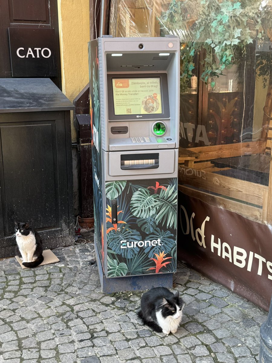 Master Yoda tweet media