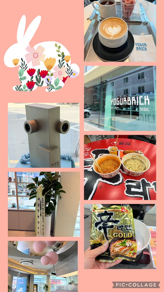 さじゅんち🐱🍒★︎彡ʲᵘⁿˢᶜⁱ♥︎︎∗︎*ﾟ tweet media