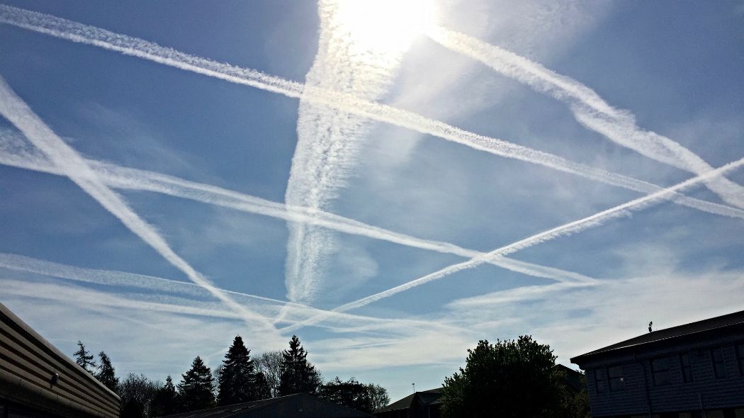 Complottocchio 🐸 tweet media