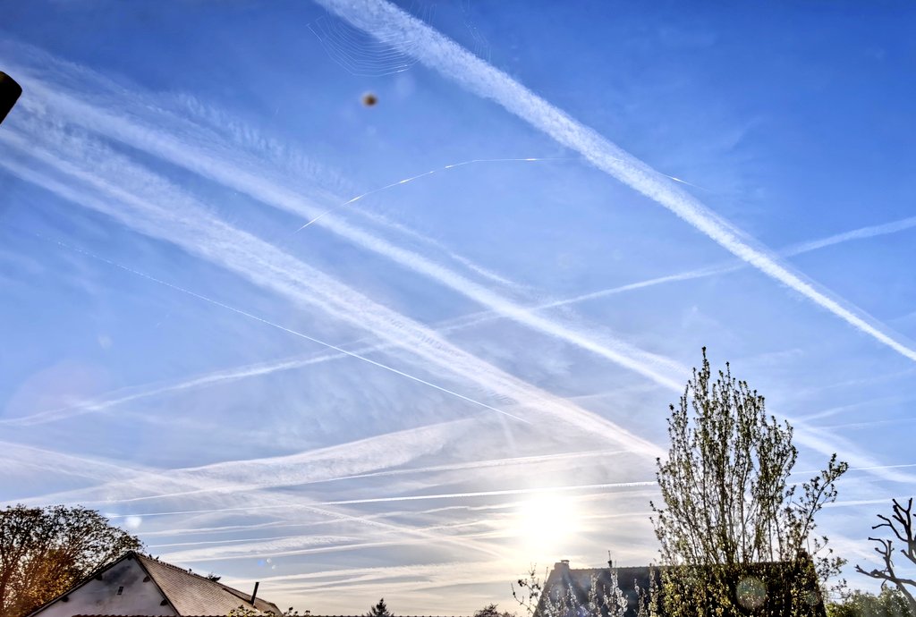 Beatrice Rosen tweet media