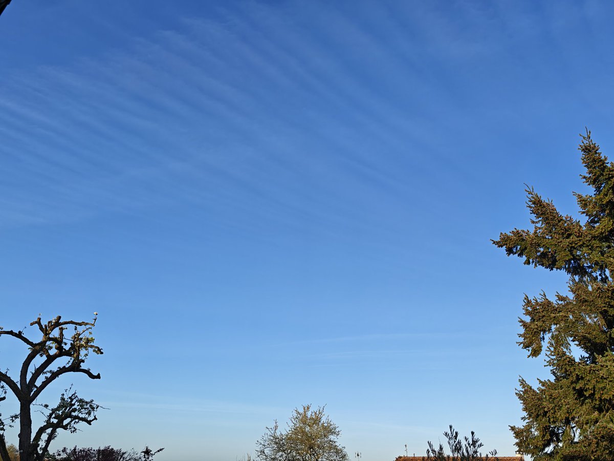 Beatrice Rosen tweet media