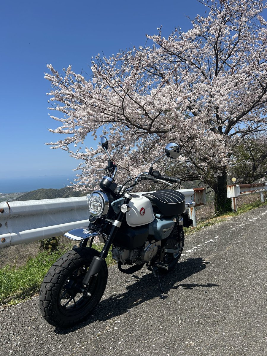 krk021116's tweet photo. ずーと欲しかったモンキー125 🐒
納車されました
うれしい☺️やったー(*'▽'*) https://t.co/QXBCJ9tIwk