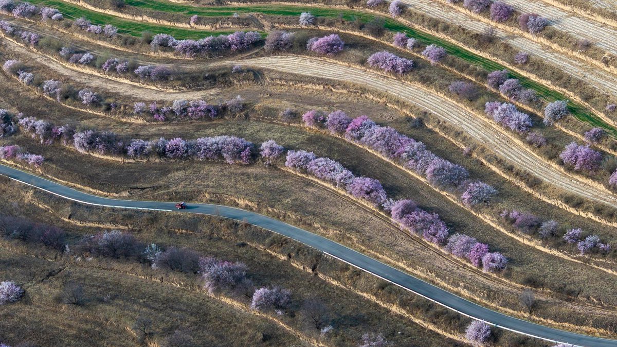 China Xinhua News tweet media