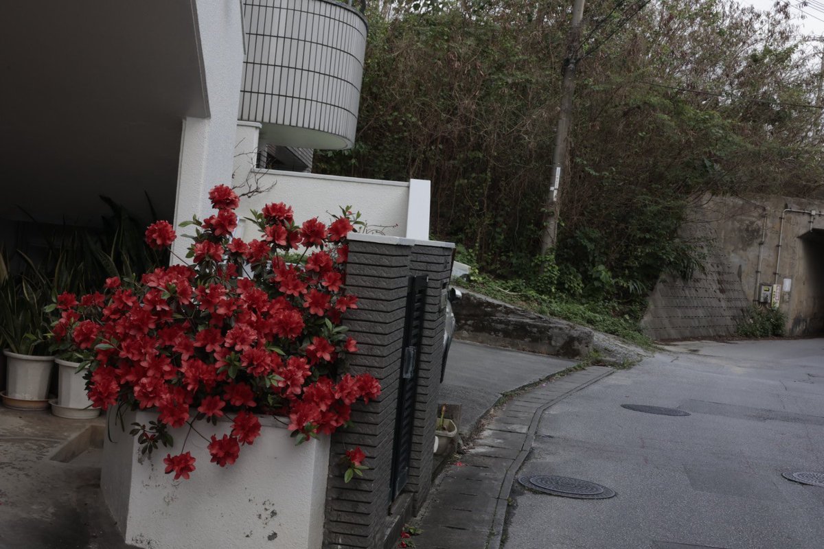 Tsubasa_0046 (@qqma6cx9k) on Twitter photo 