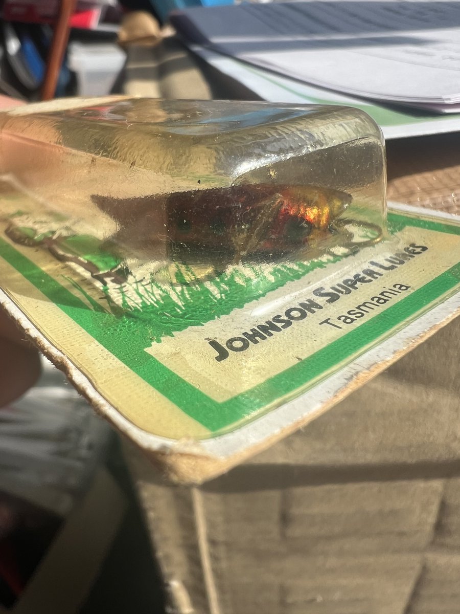 あきらしぇんしぇ〜　和田漁具店 tweet media