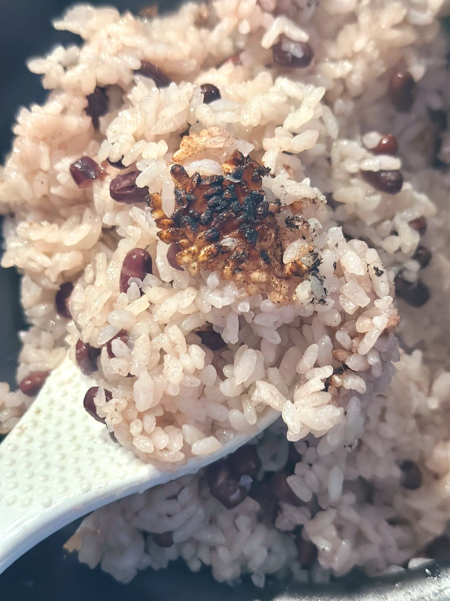 merryfarm tweet media