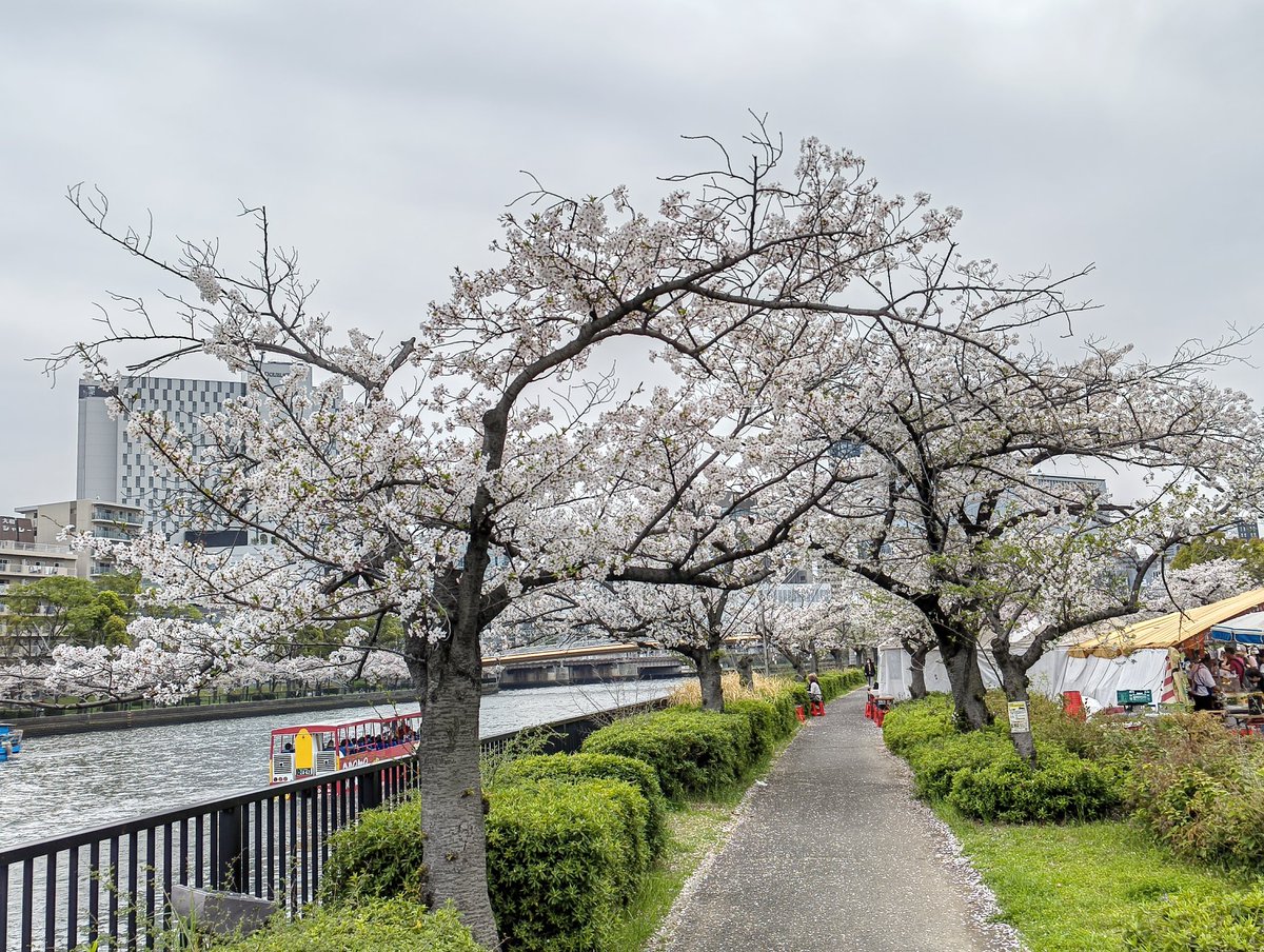 あすかぜ tweet media