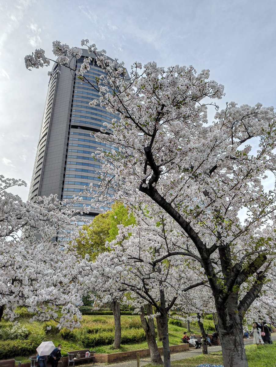 あすかぜ tweet media