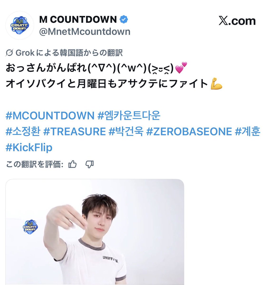 コグマ tweet media