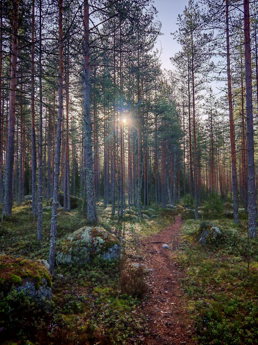 Aija_H's tweet photo. Aamulenkki raikkaasta ilmasta nauttien. #Luumäki https://t.co/kkk3oHWLnO